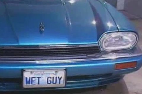 Tom Katt gets pounded By Max