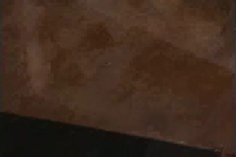 Let\'s receive Out Of these Shorts