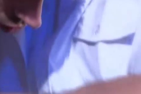 BodyProd-stud-horse Airlines