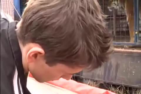 BB teens & twinks / TRASGU XII