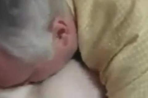 Who Ate Him superlatively nice