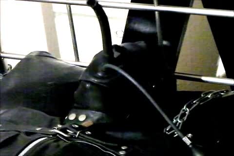 Wearing A Rubber Cat Suit Inside A Leather Body Bag chained To The bed, Hooded And Gagged, Then Teased For Two Hours Until that guy cum.
