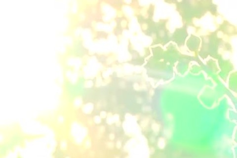 Shaved Connor Maguire licking Tommy Defendi big cock