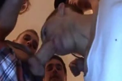 Muscle twinks arse Creampie - Pornhub