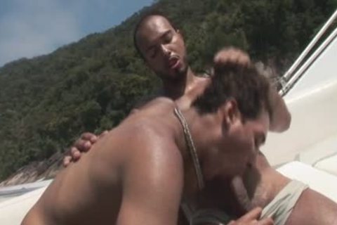 homo And On The pound Boat To Assholepoundville