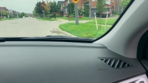 Pranksters - Dante Colle with Kit Cohen pooper plow