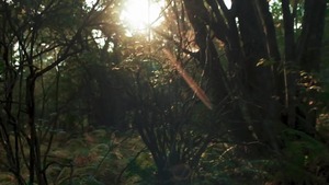 Tom Of Finland: 1957 - Kurtis Wolfe with Matthew Camp American Love