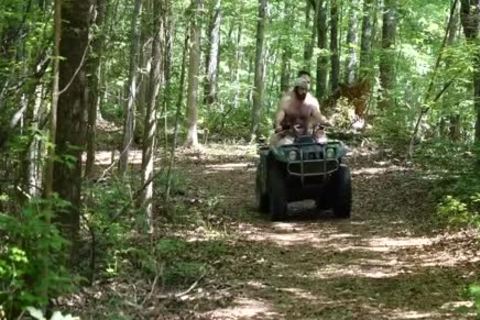 Bears In The Woods