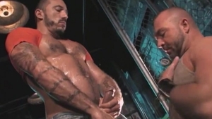 Bear finds pleasure in real sex