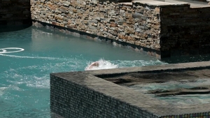 Next Door Originals: Savoring the Fruits of Deception