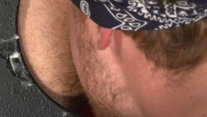 Falcon Studios: Pissed, Plowed and Positively Proud