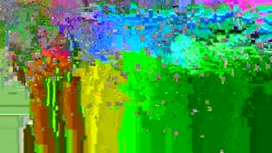 Dick Dorm: No Taboos Here - A Real-Life Fantasy